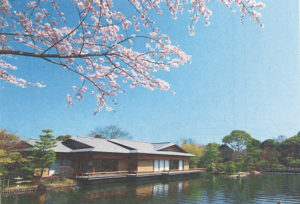 数寄屋造りの平成庭園