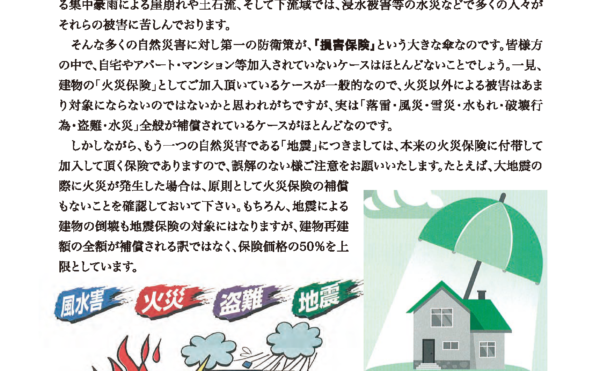 キーメイト損害保険部署からの緊急報告書