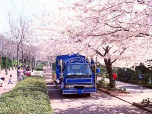 総合レクリエーション公園