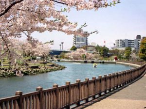 新左近川親水公園