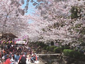 小松川境川親水公園